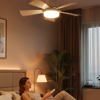 Ventilateur LED HOMEVA