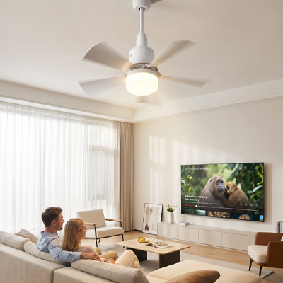 Ventilateur LED HOMEVA